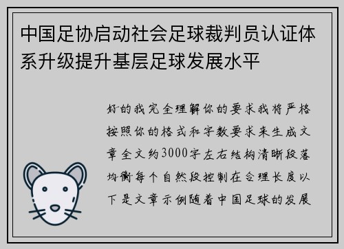 中国足协启动社会足球裁判员认证体系升级提升基层足球发展水平